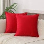 Premium Velvet Throw Pillow Covers – Bundle of 10 Sets (18" × 18")